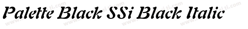 Palette Black SSi Black Italic字体转换